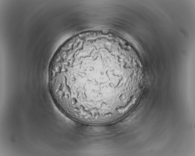 X0000111451095200907271225