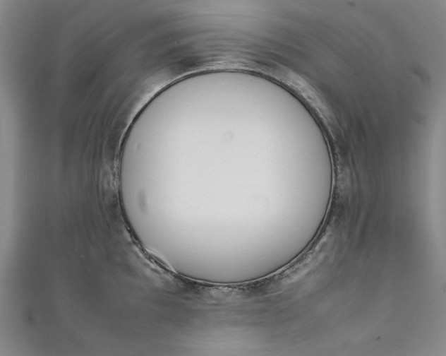 X0000111451097200907271225