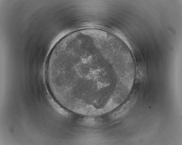 X0000111451098200907271225
