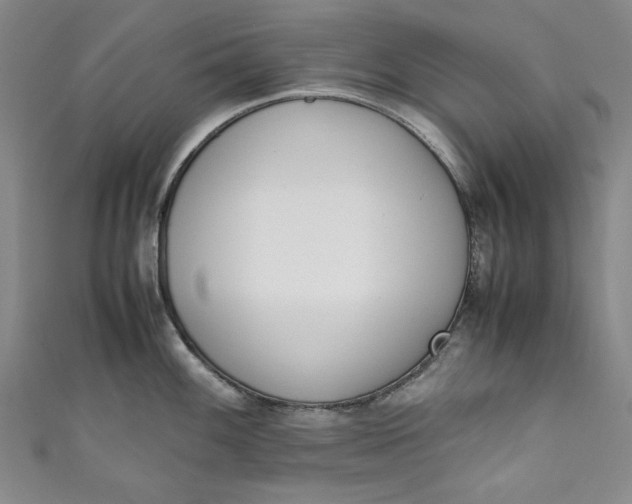 X0000111451100200907271225
