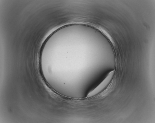 X0000111451101200907271225
