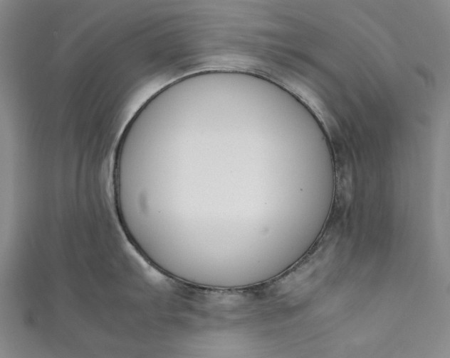 X0000111451103200907271225