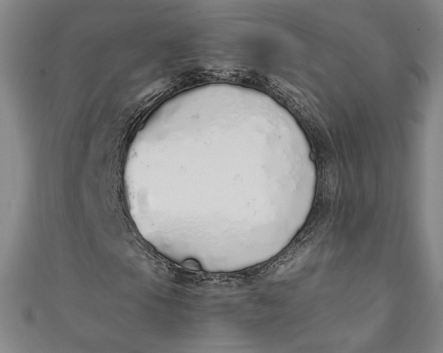 X0000111451105200907271225