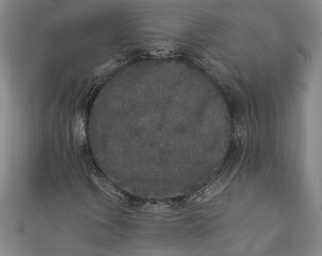 X0000111451106200907271225