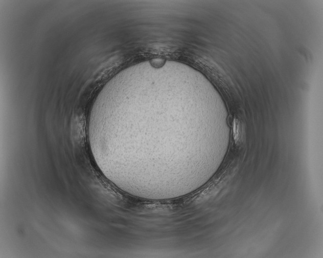 X0000111451107200907271225