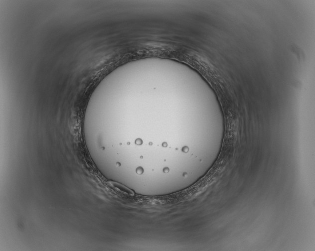 X0000111451109200907271225