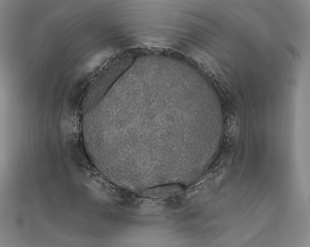 X0000111451110200907271225