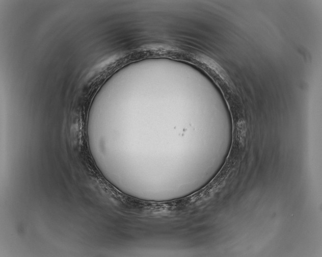 X0000111451111200907271225