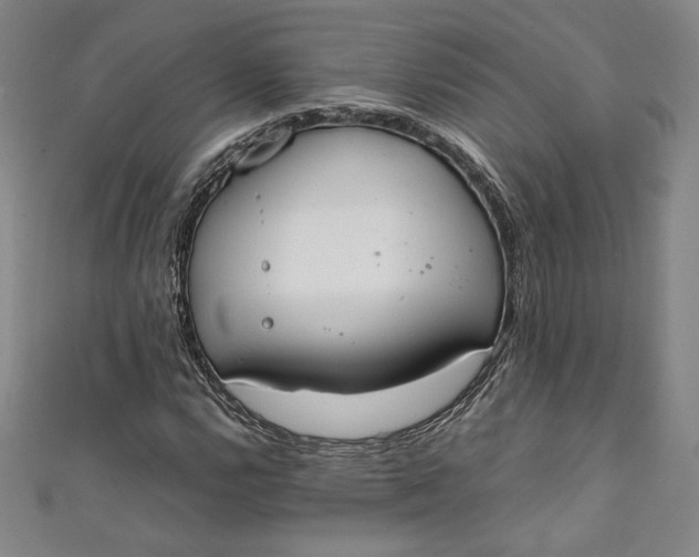 X0000111451112200907271225