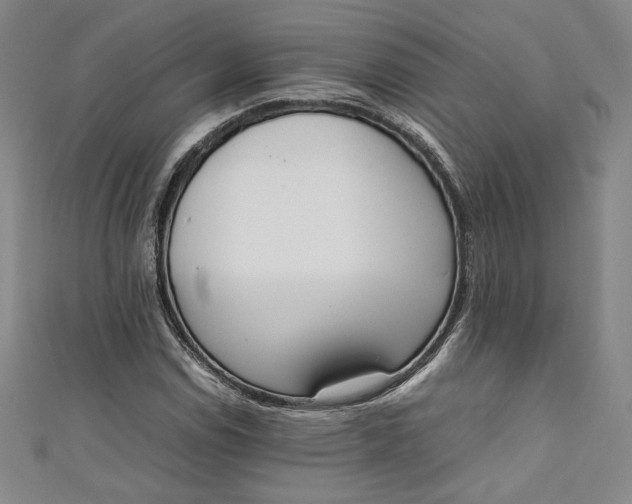 X0000111451114200907271225