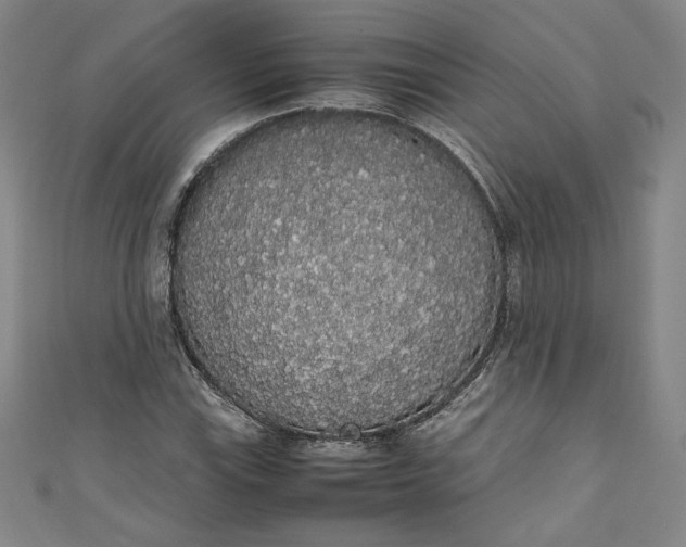X0000111451115200907271225