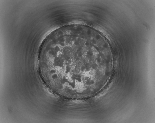 X0000111451117200907271225