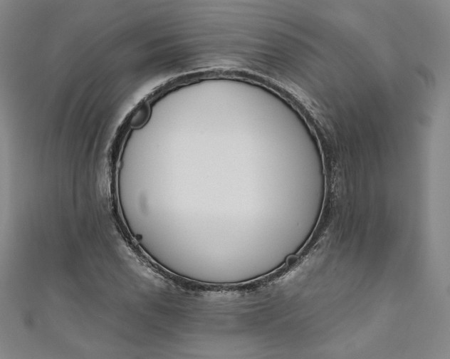 X0000111451118200907271225