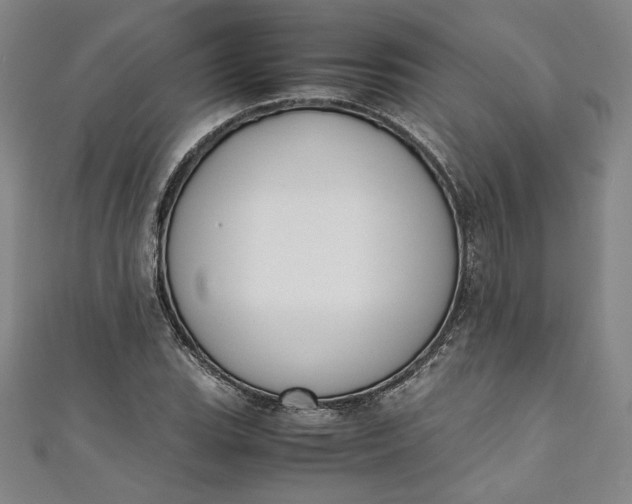 X0000111451119200907271225