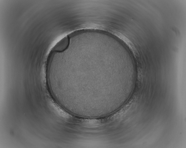 X0000111451120200907271225