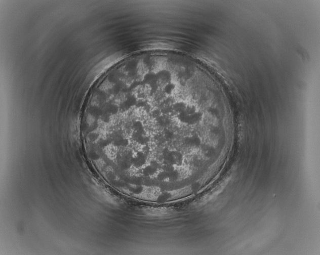 X0000111451121200907271225