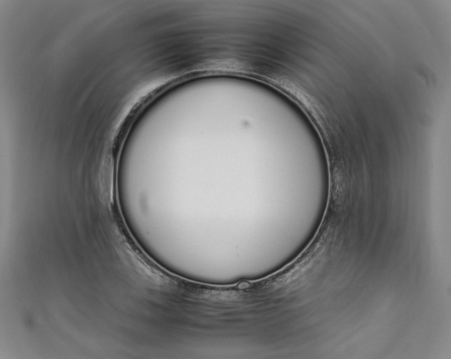 X0000111451123200907271225