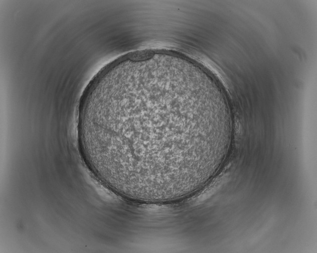 X0000111451124200907271225