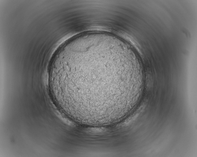 X0000111451125200907271225