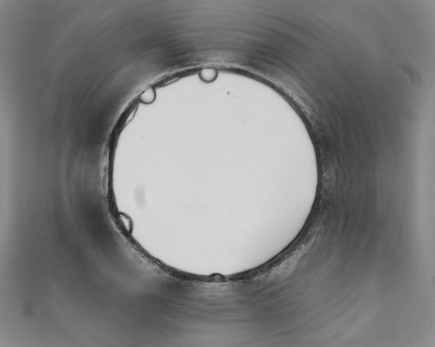 X0000111451126200907271225