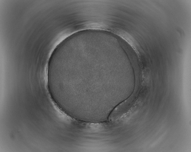 X0000111451128200907271225