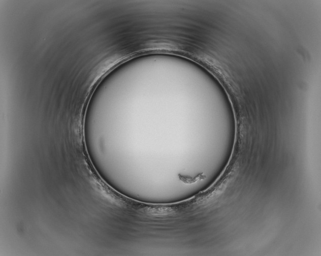 X0000111451129200907271225