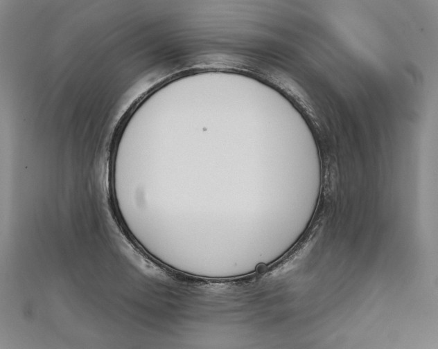 X0000111451130200907271225