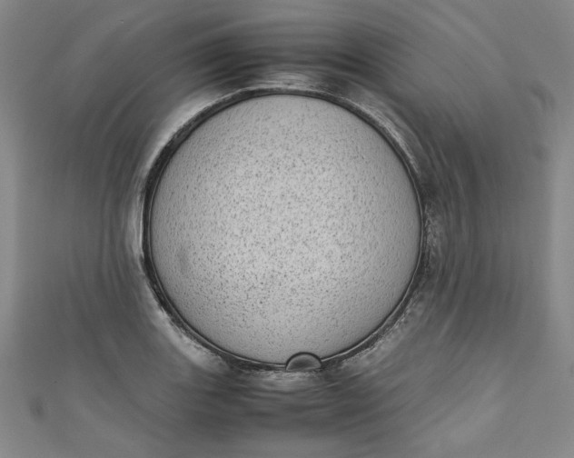 X0000111451131200907271225