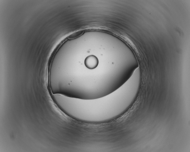 X0000111451132200907271225