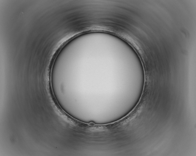 X0000111451133200907271225