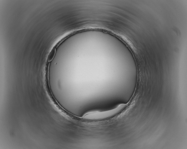 X0000111451134200907271225