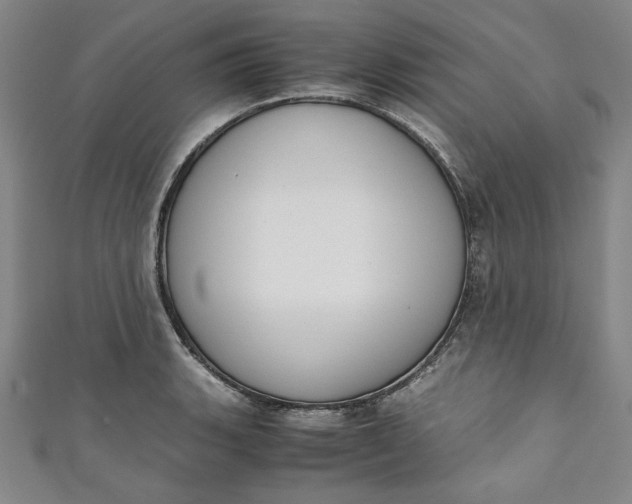 X0000111451135200907271225