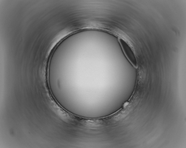 X0000111451138200907271225