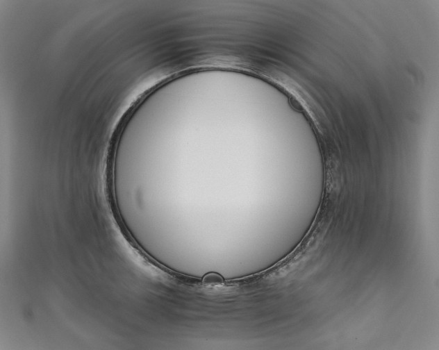 X0000111451139200907271225