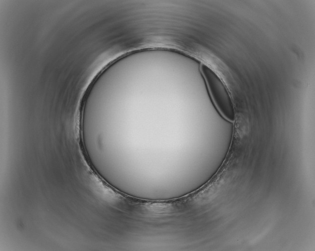 X0000111451140200907271225