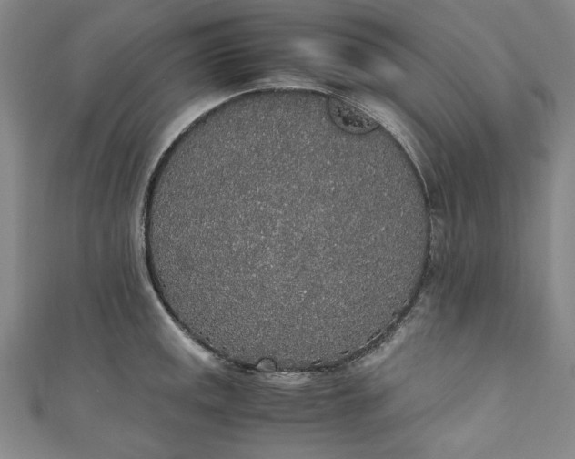 X0000111451141200907271225