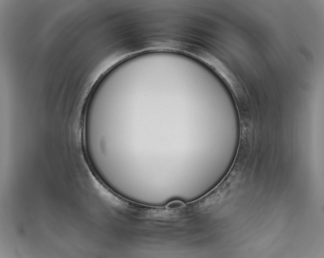 X0000111451143200907271225