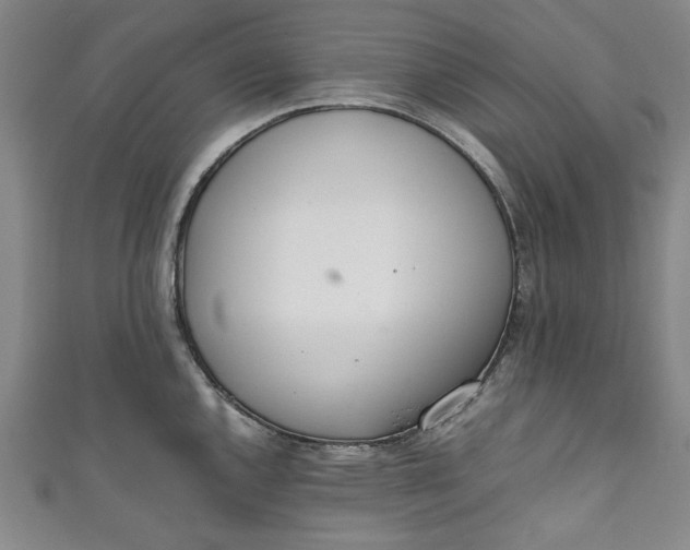 X0000111451144200907271225