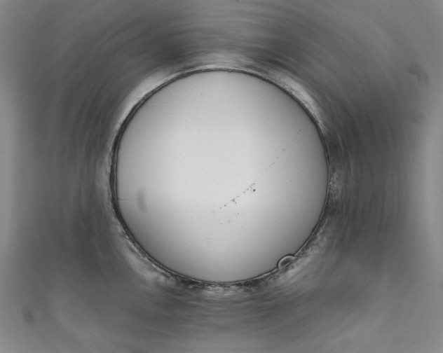 X0000111451146200907271225