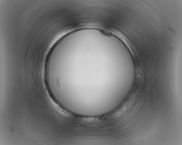 X0000111451147200907271225