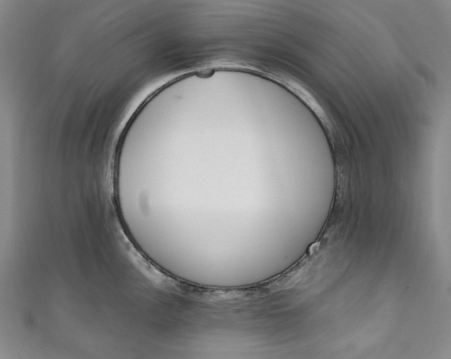 X0000111451148200907271225