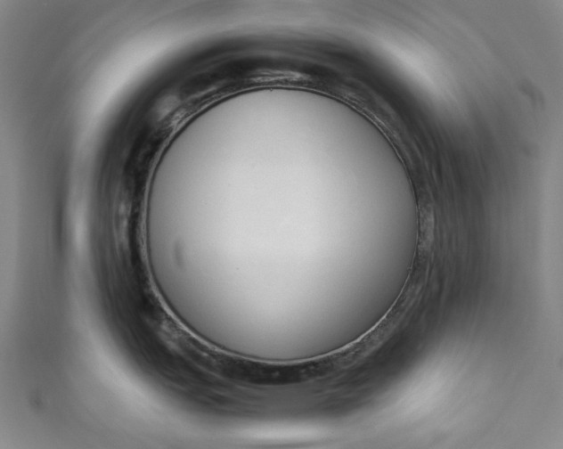 X0000111451151200907271225