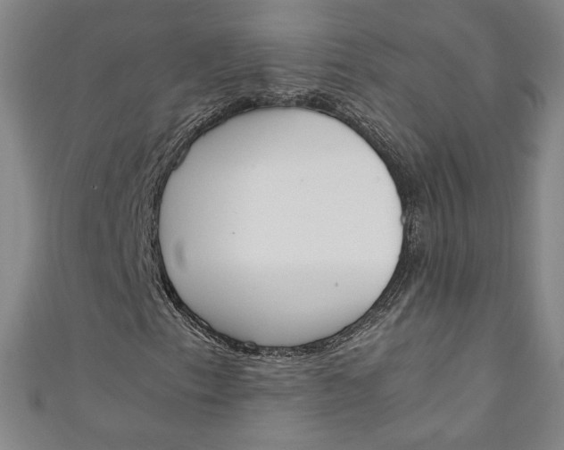 X0000111451153200907271225