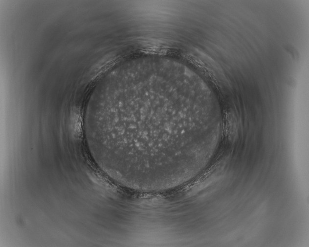 X0000111451154200907271225
