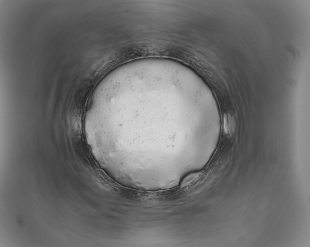 X0000111451155200907271225