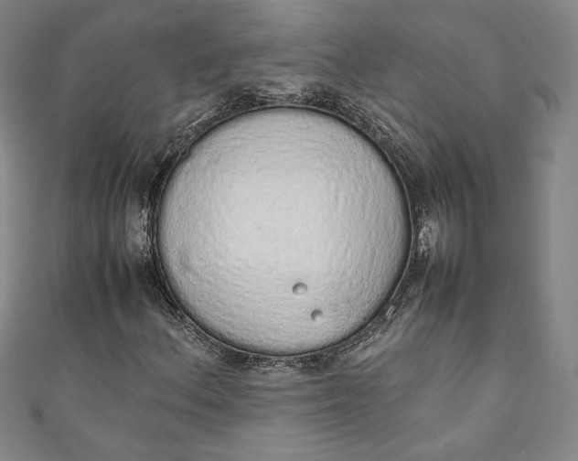 X0000111451156200907271225
