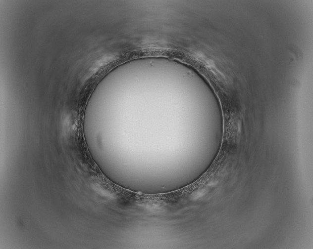 X0000111451157200907271225