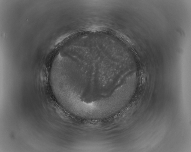X0000111451158200907271224