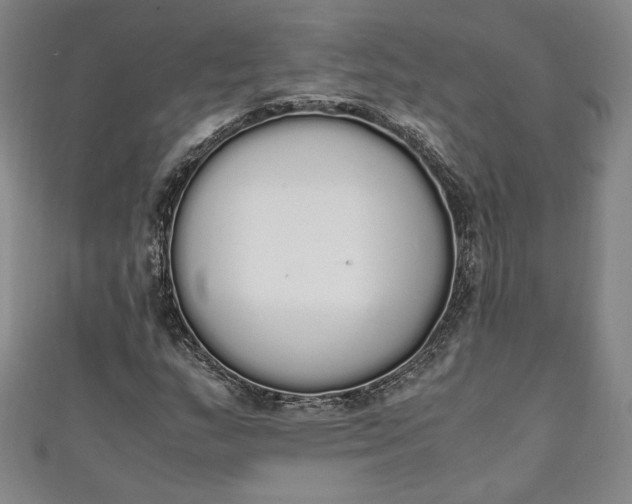 X0000111451159200907271224