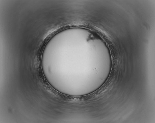 X0000111451160200907271224